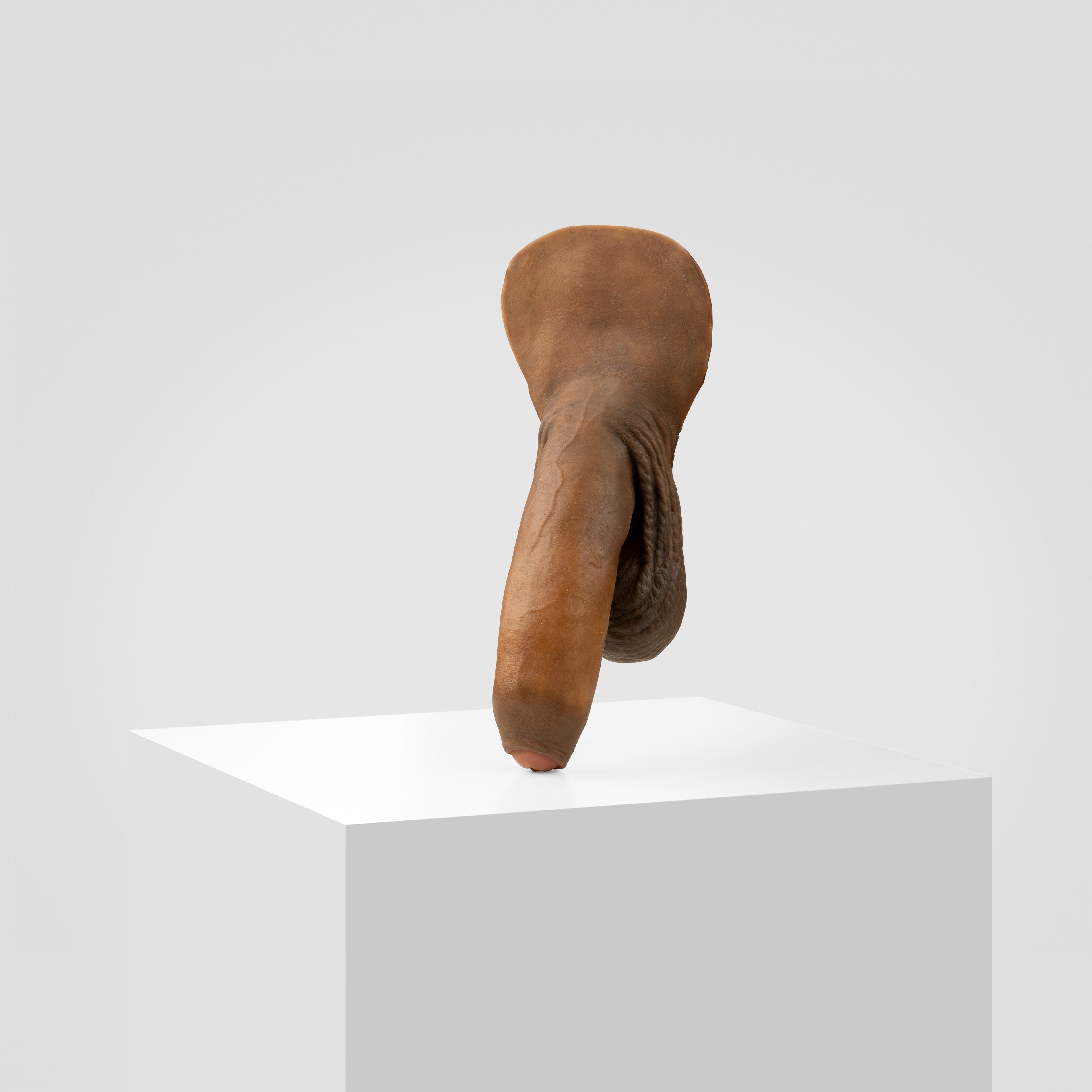 Emisil FL11 | Realistic Uncut FTM Packing Model — S12
