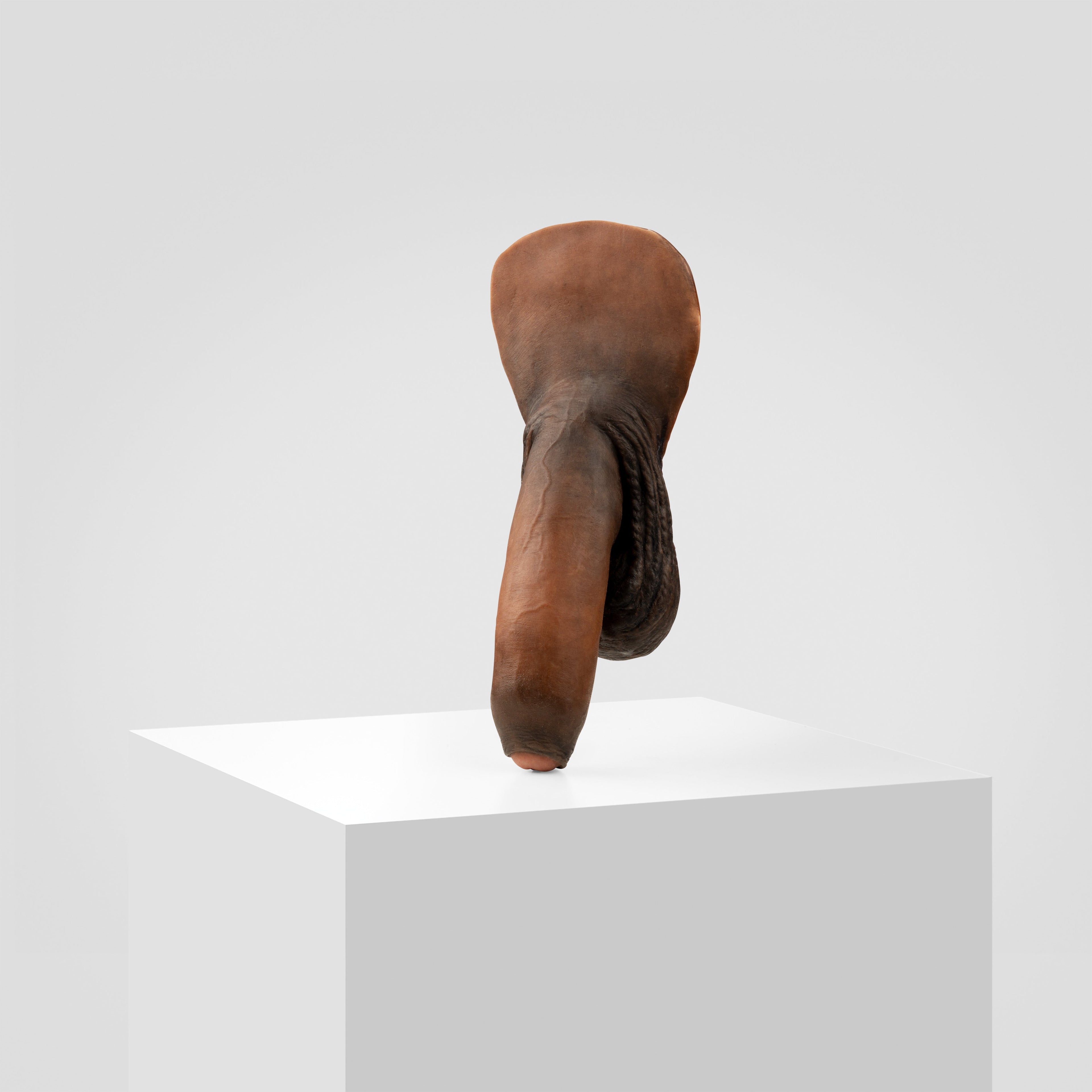 Emisil FL11 | Realistic Uncut FTM Packing Model — S13
