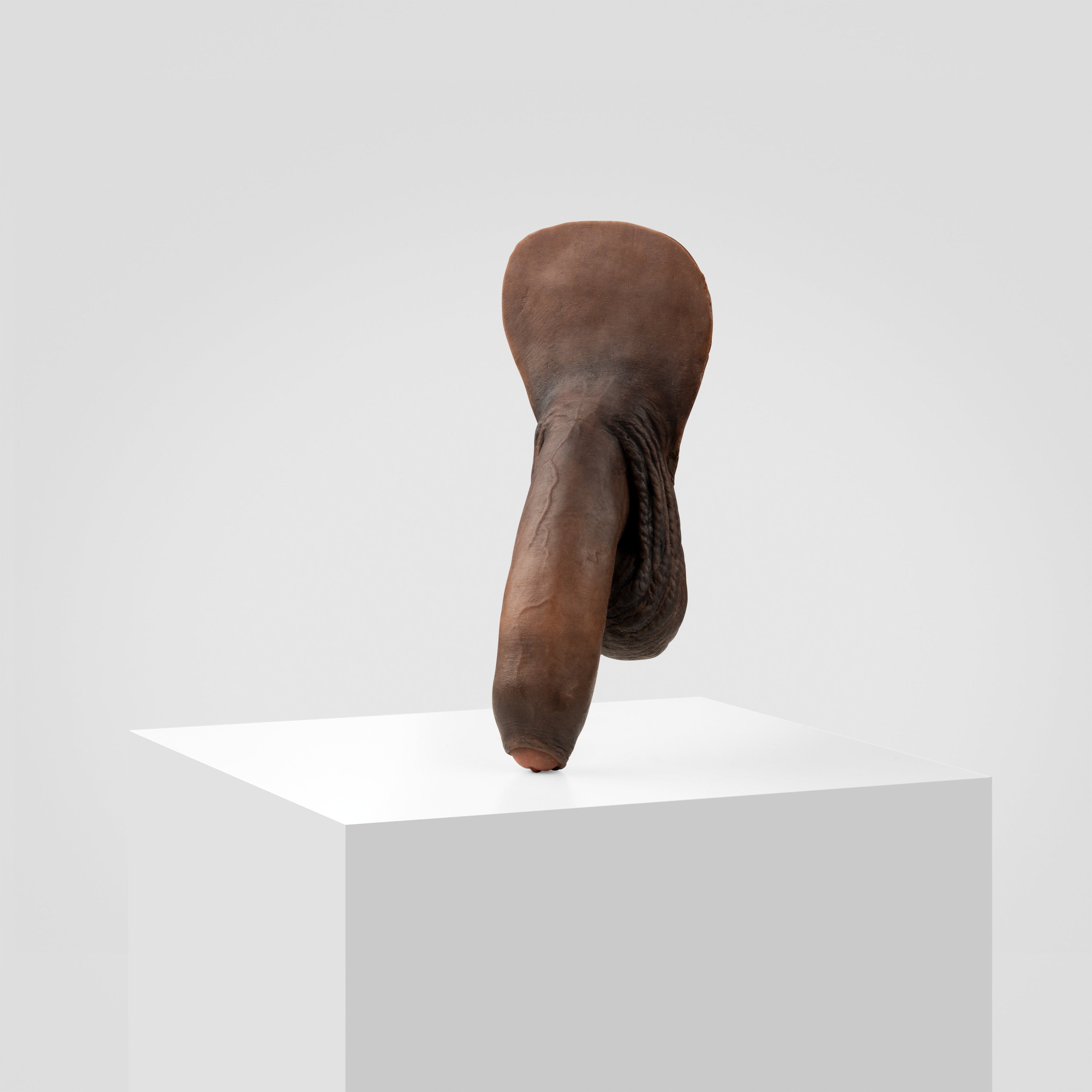 Emisil FL11 | Realistic Uncut FTM Packing Model — S15