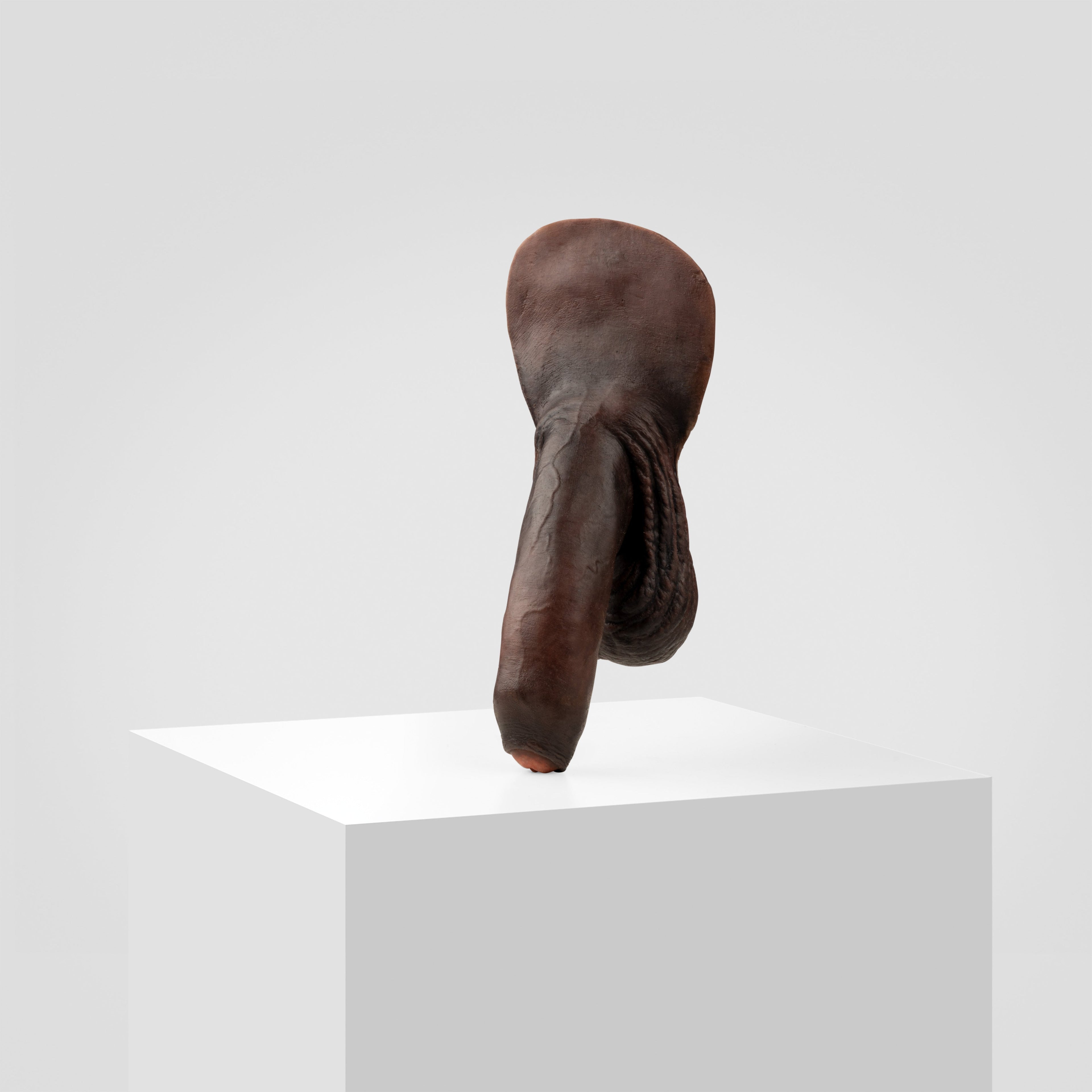 Emisil FL11 | Realistic Uncut FTM Packing Model — S16