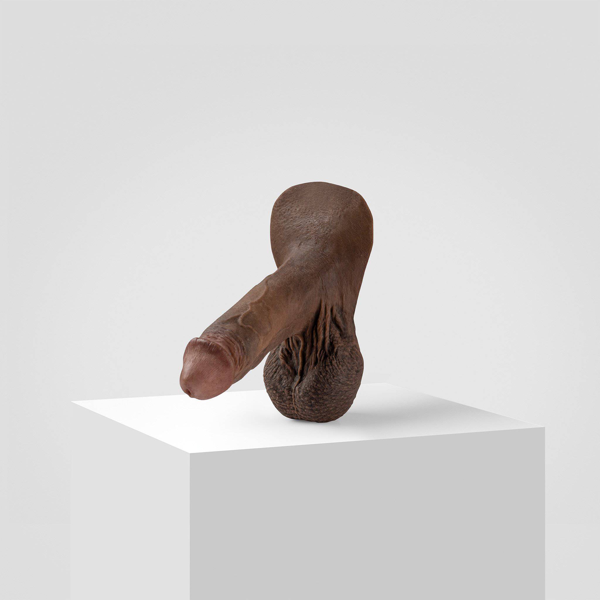 Emisil ER05 | Bold Hyper-Realistic Pack & Play Model — S15